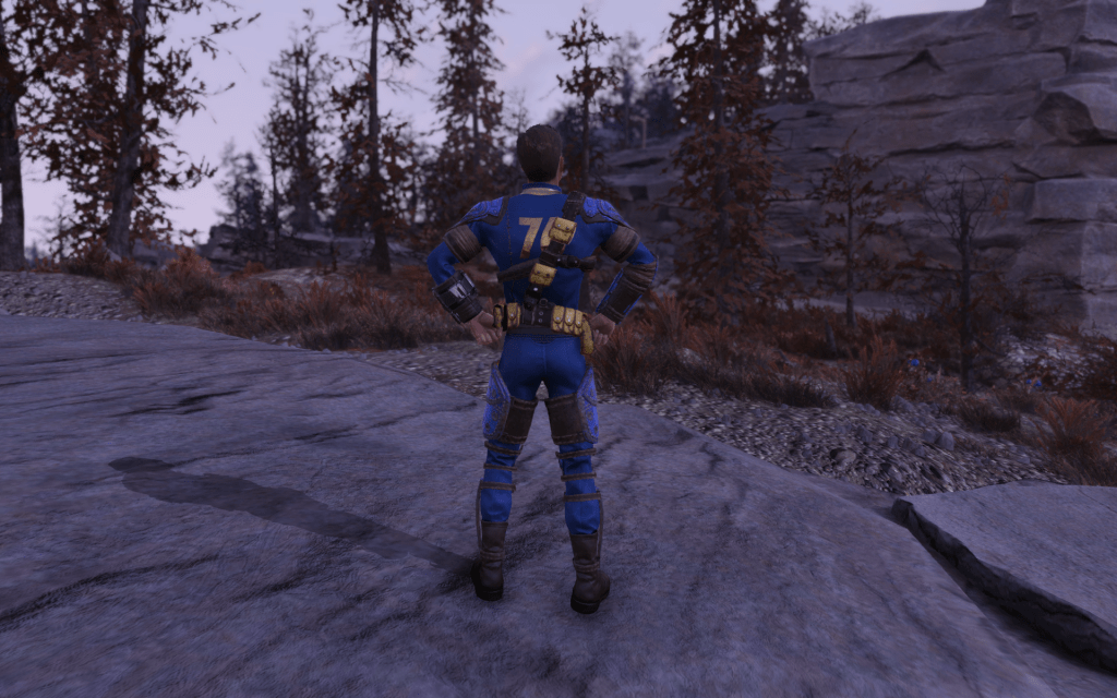 incress special stats items fallout 76 builds